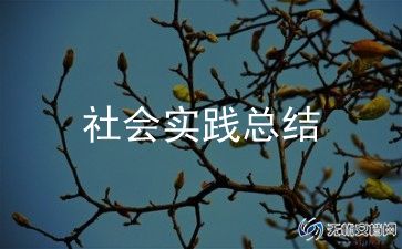志愿活动总结万能范文5篇