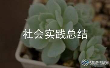 社会事务工作总结6篇