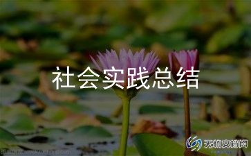 志愿者活动总结范文800字7篇