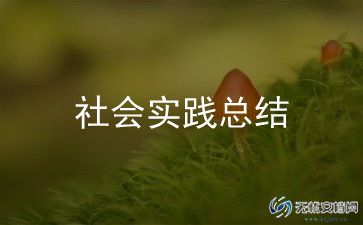 2023年寒假社会实践总结8篇