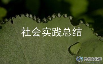 军训社会实践心得体会300字5篇