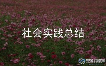医学生实践总结通用6篇