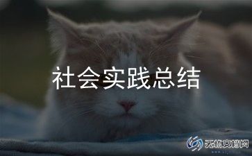 小学教师个人总结范文大全8篇