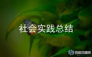 最新社会实践总结500字左右9篇