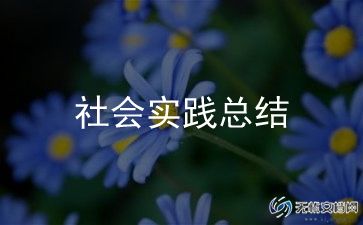 大学生下乡实践总结最新7篇