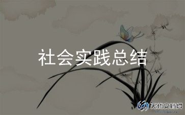 心得体会社会实践范文推荐6篇