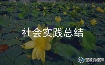 大学生社会实践活动总结报告10篇