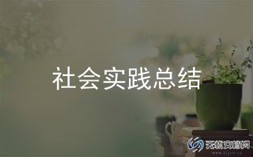 志愿者活动总结范文500字最新6篇
