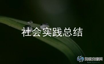 学生社会实践活动总结8篇