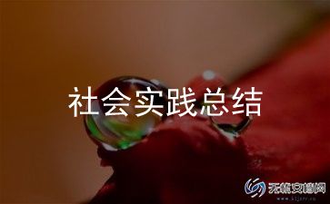 大学生户外活动总结报告模板5篇