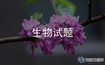 2023高二生物教学计划6篇