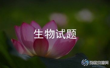 2024年生物老师工作总结优秀6篇