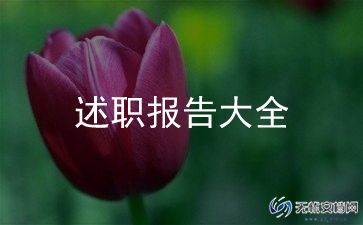 教师个人年度述职报告2023模板6篇