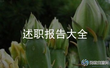 2023年村述职报告模板5篇