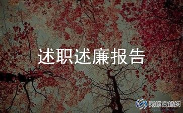 个人述职转正报告最新6篇