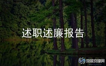 半年述职报告范文8篇