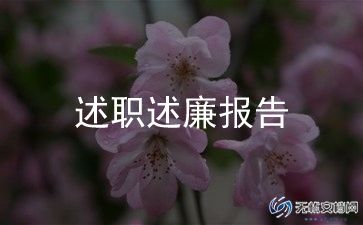 财务半年度述职报告精选8篇