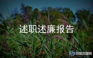 银行支行长述职报告模板6篇