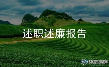 村电工组述职报告5篇