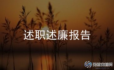 村书记年述职报告精选7篇