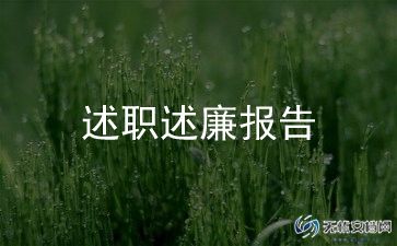 2023年党政述职报告5篇