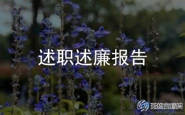 设星定级评述职报告6篇