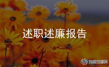 2024年项目述职报告推荐8篇