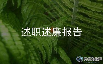 副经理述廉述职报告8篇