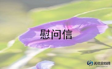 最新新年慰问信范文汇总6篇
