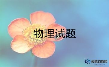 初中物理老师总结6篇