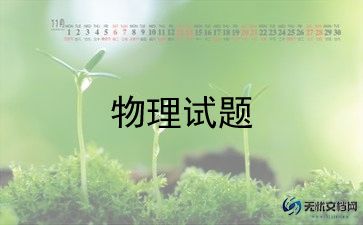 初中物理老师工作计划8篇