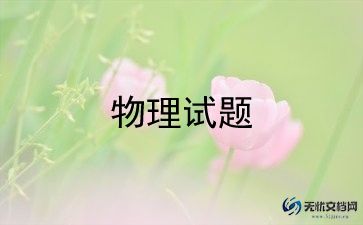 物理老师工作总结推荐6篇
