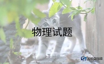 春学期九年级物理教学计划8篇
