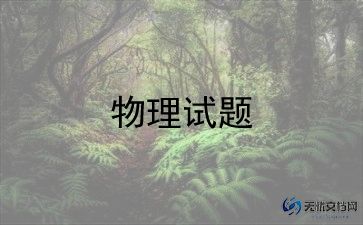 2024年物理老师工作总结优质8篇