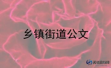 街道城管办个人总结8篇