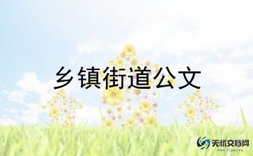 2023乡镇护士工作计划6篇