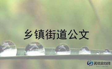 乡镇医保工作报告8篇