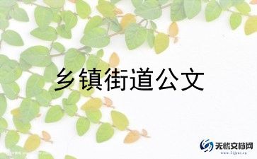 2023乡镇卫生院工作总结6篇