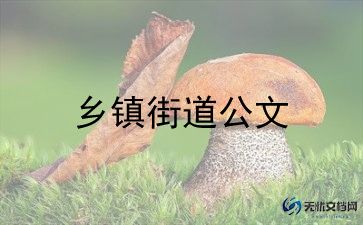在乡镇演讲稿优质6篇
