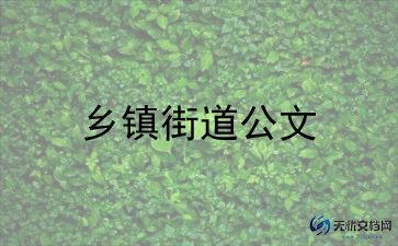 乡镇办党政办工作总结8篇