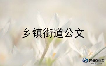 乡镇活动总结8篇