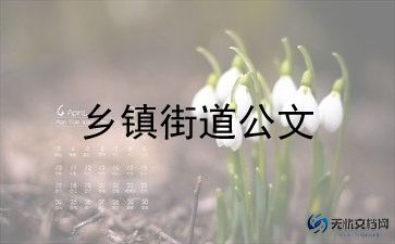 乡镇干部近三年工作总结7篇