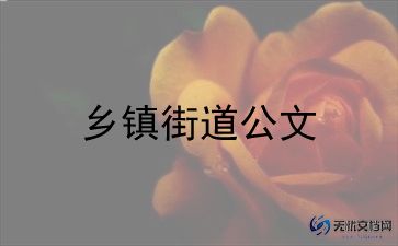 乡镇包村工作总结6篇
