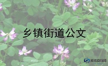 乡镇工作总结模板7篇