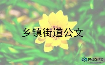 乡镇工作总结及计划6篇