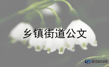 乡镇副镇长述职报告范文6篇