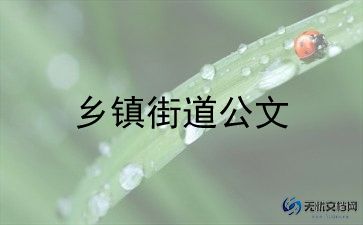 个人在乡镇医院工作总结8篇