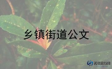 2023年乡镇财务工作计划7篇