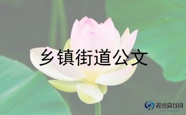 副乡镇长工作总结7篇