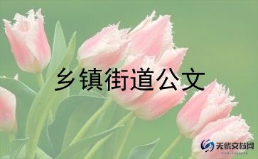 乡镇三零工作计划7篇